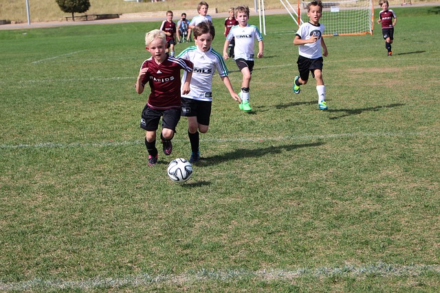 随后的比赛 随后的比赛