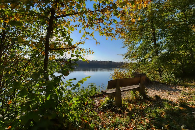 等核心球员 等核心球员