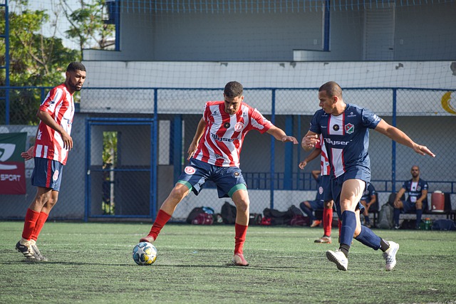 典型的市场 典型的市场