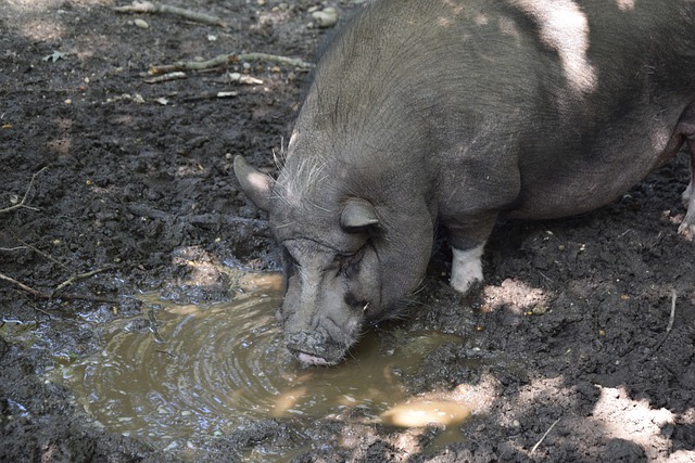 练和康复管 练和康复管