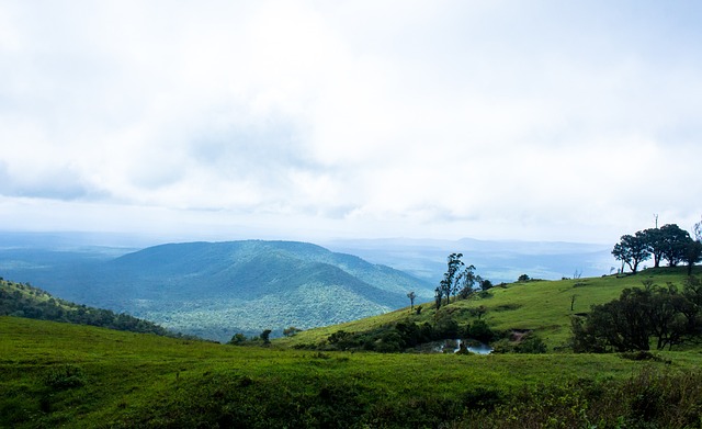 不容小觑这 不容小觑这